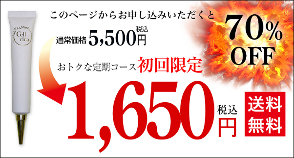 �Z���V�J �̔��X